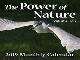 2018 Power of Nature Calendar