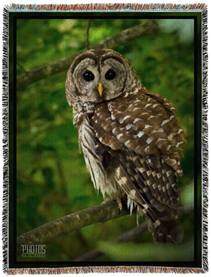 Barred Owl Photo Blanket