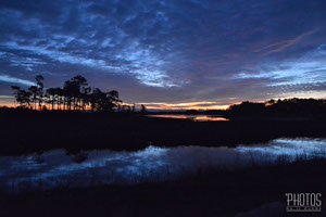 Sunrise over the Bay, Chincoteague Island National Wildlife Refuge