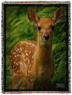 White-Tailed Deer Fawn Photo Blanket