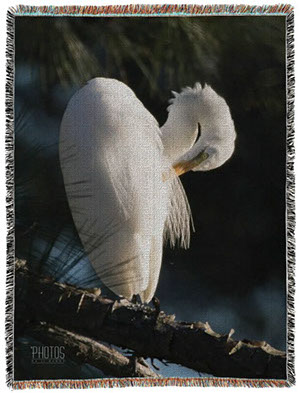 Great Egret Photo Blanket