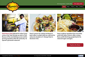 Hamir's Indian Fusion Website