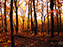 Fall