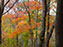 Fall