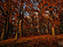 Fall