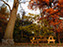Fall