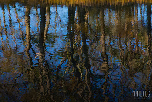 Chincoteague Island National Wildlife Refuge
