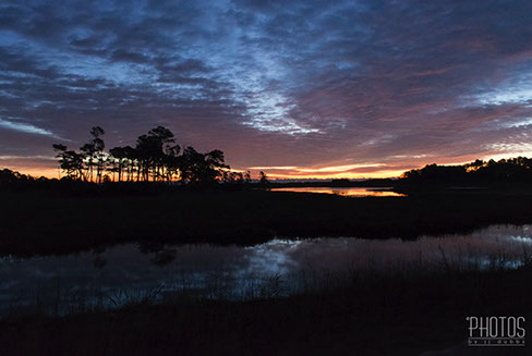 Chincoteague Island National Wildlife Refuge