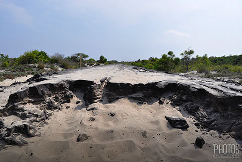 Assateague Island National Seashore