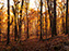 Fall