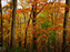 Fall