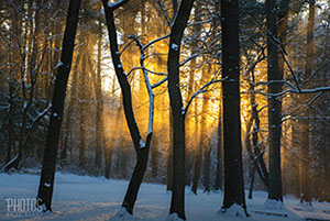 Sunrise in the Snow at Lake Williams