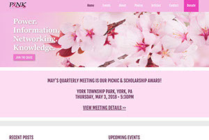 Pink Partners Website