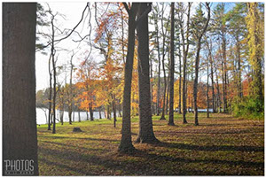 Fall Foliage, Lake Williams Puzzle