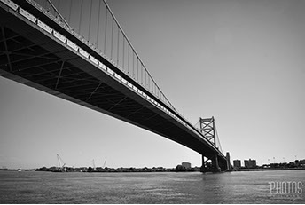 Northern Water Snake