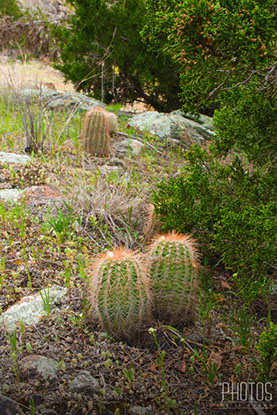 Wichita Mountain Wildlife Refuge