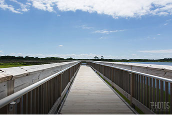 Assateague Island National Seashore