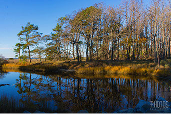 Chincoteague Island National Wildlife Refuge