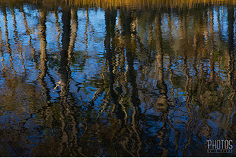 Chincoteague Island National Wildlife Refuge