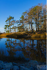 Chincoteague Island National Wildlife Refuge