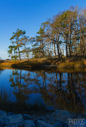 Chincoteague Island National Wildlife Refuge