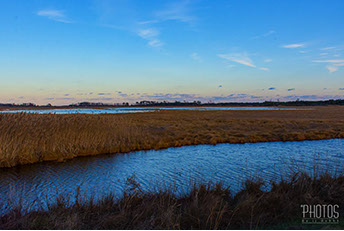Chincoteague Island National Wildlife Refuge