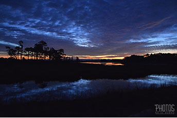 Chincoteague Island National Wildlife Refuge