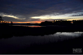 Chincoteague Island National Wildlife Refuge