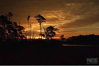 Chincoteague Island National Wildlife Refuge
