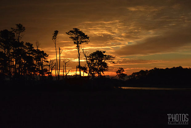 Chincoteague Island National Wildlife Refuge