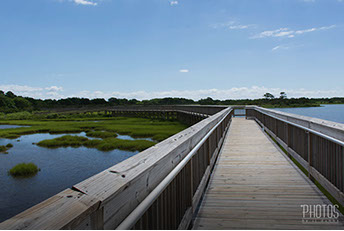 Assateague Island National Seashore