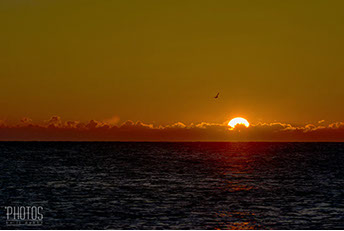 Chincoteague Island National Wildlife Refuge