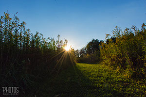 Sunrise at Richard M. Nixon County Park
