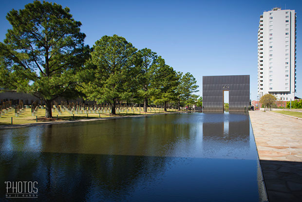 Northern Water Snake