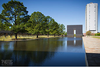 Northern Water Snake